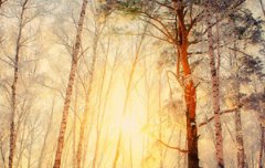 2019年农历十二月安床吉日有哪些,为何十二月称为腊月？