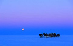 2019年农历十一月二十一日子好吗适合上香祈福吗？