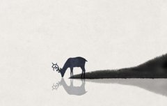 2019年立冬出生猪宝宝八字喜用神是什么,立冬出生性格如何