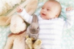 2019年十二月腊月十四日是不是适合求嗣的日子？