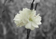 2019年寒衣节烧寒衣纸提前几天，寒衣节的含义