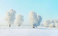 2019年农历十二月十五日签约好不好？