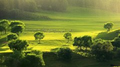 2019年农历十二月初五日是个黄道吉日吗？