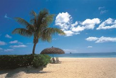 2019年农历十二月初九日是个黄道吉日吗？