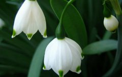 2019年冬月十九不宜出殡吗,出殡应该如何择吉日？