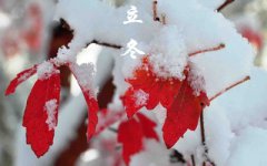 出生在2019年立冬节气辰时的人喜用神是什么？