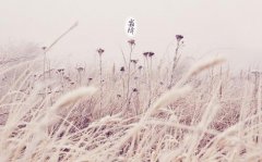 喜神方位分析之2019霜降，2019年霜降卦象是吉还是凶？