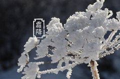 霜降是不是九月中气，2019年霜降卦象注解！