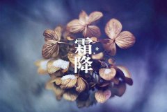 今年几月霜降？霜降意味着什么？