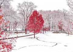 2019年农历十一月廿三适合出行吗,出门旅游有何讲究？