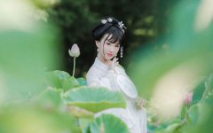 农历十二月出生的属猪人好吗，性格是如何的？