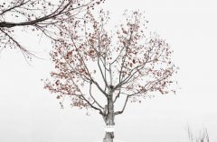 请2019年农历十二月份好日子有哪些，黄道吉日如何择日？