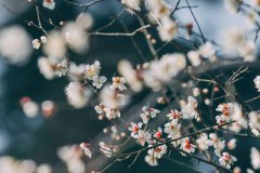 2019年农历十二月腊月十三适合祈福上香吗？