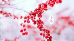2019年立冬是几月几日星期几，立冬三候说法解说！