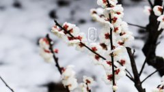 2019年立冬搬家乔迁好吗，2019年立冬搬家适合吗？