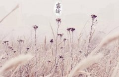 2019年霜降是哪天？霜降为什么吃柿子？