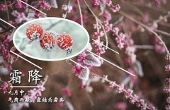 2019年霜降节气前后能出行吗？霜降是出行的好日子吗？