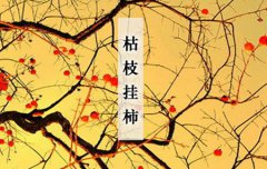 2019年霜降节气是安葬逝者吉日吗,霜降适合种什么农作物？