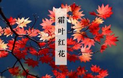 2019年霜降去寺庙拜拜好吗,霜降过后昼夜温差变大吗？