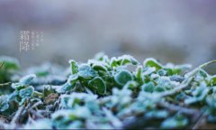 距离2019年霜降节气到来还要几天，2019年霜降运势详情！