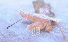 霜降节气的饮食与养生要注意什么？2019霜降卦象好吗？