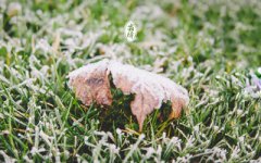 2019年霜降日子是哪天？霜降后面的节气是什么？