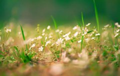 2019年10月24日霜降祭祀祭祖好吗,霜降下一个节气是立冬吗？