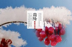 霜降有什么习俗？2019哪个月哪个日是霜降？