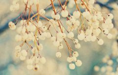 2019年霜降后一天结婚好不好,2019年霜降冷不冷？