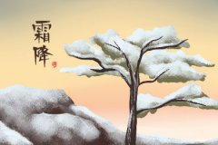 霜降是什么时候开始，霜降与霜冻关系分析！