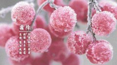 2019年霜降能不能回娘家,距离2019年霜降还有多少天？