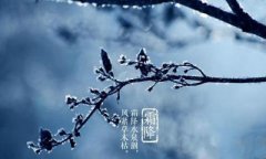 2019霜降什么时候开始？霜降物候特征