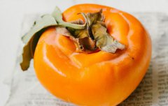 2019年10月24日霜降日子好不好,霜降吉时宜忌查询！