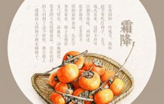 2019年霜降出生的女孩好吗,霜降出生女生五行缺金命吗？