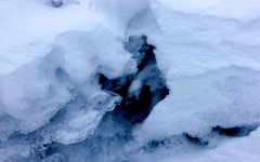 2019年农历十一月十二大雪节气适合祭祀祭祖吗？