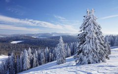 2019年农历十一月十四日子好吗可以祭祀祭祖吗？
