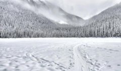 2019年农历十一月十五不宜出行吗,开车出行要注意什么？