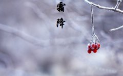 2019年农历九月廿六日霜降节气亥时出生喜用什么？