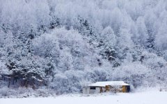 2019年农历十一月初七是好日子吗适合祭祀祭祖吗？