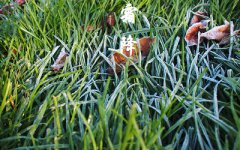 2019年10月24日霜降节气戌时出生命好不好？