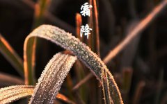 2019猪年霜降节气酉时出生的人喜用神是什么？