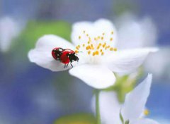 2019年农历十月二十八出行好吗,今天适不适合出远门？