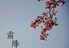 出生在2019年霜降节气卯时的人命运是好还是不好？