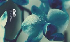 1997年寒露节气属牛10月8日出生的人命好吗？