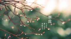 2019年寒露10月8日出生的猪宝宝好吗，是什么命？