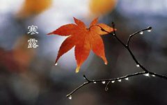 2019年寒露出生的人命运好吗，寒露是什么意思？