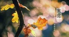 1998年属虎寒露10月8日出生的人命运是好是坏？