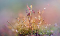 1999年属兔的人寒露10月9日出生命运好不好？