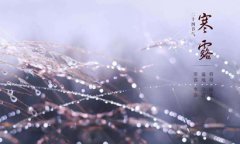 2000年属龙的人寒露节气10月8日出生命运是好是坏？