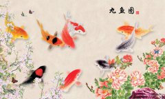 十一月三十2019年是属于签约吉日吗，十二生肖求财禁忌！